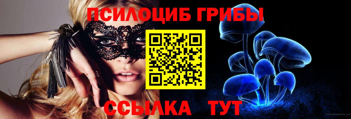 Галлюциногенные грибы GOLDEN TEACHER  Вход с VPN  закладки  Новый Уренгой 